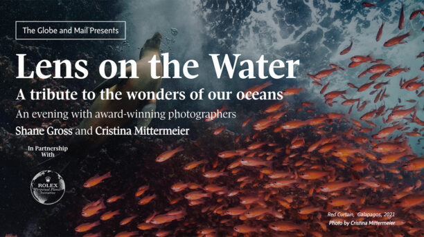 The Globe and Mail and Rolex present a tribute to the ocean